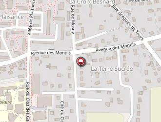 Carte de Collège Choiseul à Amboise