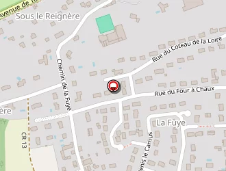 Carte de Pro-reporting à Amboise