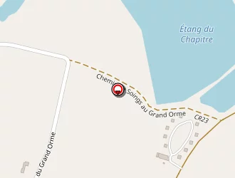 Carte de Daumas Courtois Claudine à Soings-en-sologne