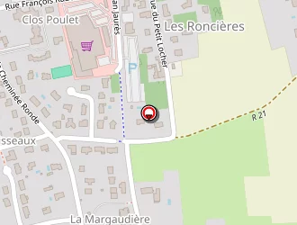 Carte de Sas Fondis à Fondettes