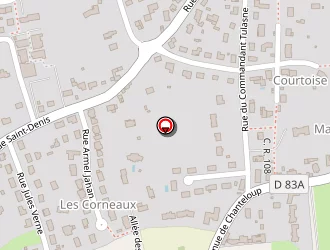 Carte de Taxi Bordier à Amboise