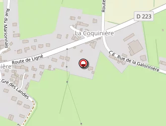 Carte de Cdg Auto à Petit-mars