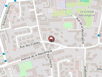 Carte de Reflex Elec à Saint-cyr-sur-loire