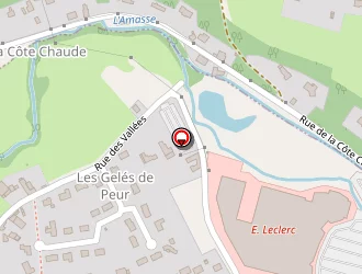 Carte de Taxi Vers Nous à Amboise