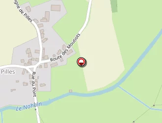 Carte de Coréopsis à Couloutre