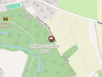 Carte de Penaud Didier à Amboise