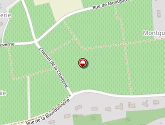 Carte de Berthoux Sophie à Rochecorbon