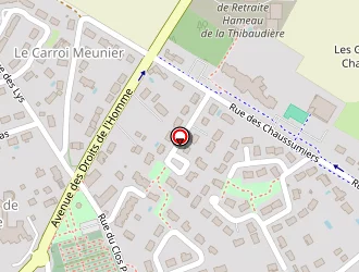 Carte de Brion Martine à Fondettes