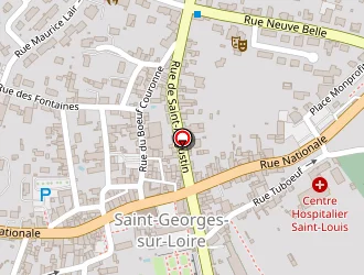 Carte de Vision Plus à Saint-georges-sur-loire