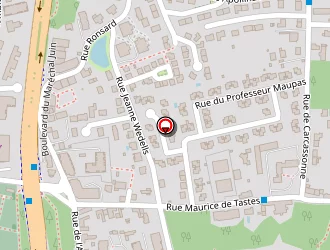 Carte de Rat Aline à Tours