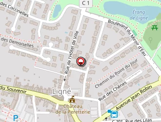 Carte de Crousti Pizzas à Ligné