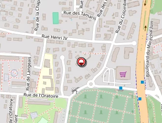 Carte de Baudrier Dominique à Tours