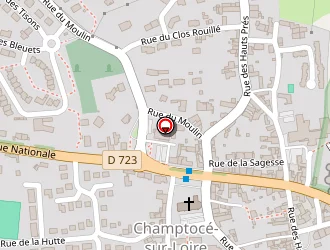 Carte de Bolzer Philippe à Champtocé-sur-loire