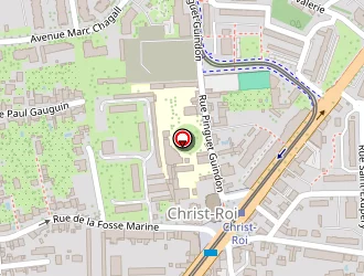 Carte de Fleurs O Naturel à Tours