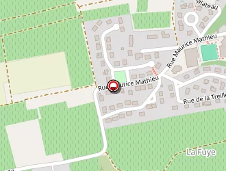 Carte de Bussonnais Pierre à Rochecorbon