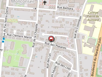 Carte de Comfort Hotel La Terrasse à Tours