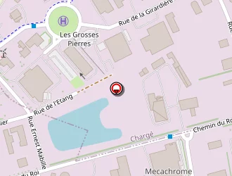 Carte de Brazilier Aléxis à Chargé