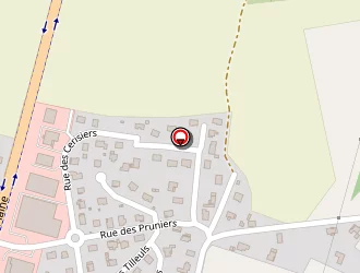 Carte de Fiquet Jean-pierre à Bourguignon