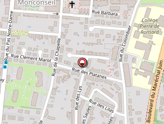 Carte de Ritzler Sabrina à Tours