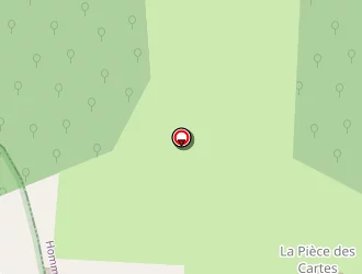 Carte de Losseff Anne à Hommes