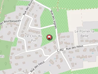 Carte de Entreprise Sauvage Denis à Rochecorbon