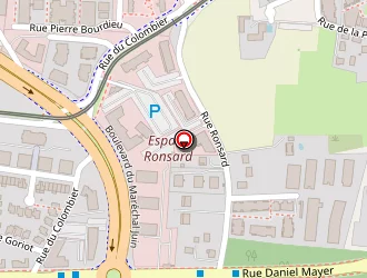 Carte de Gymnase Ronsard à Tours