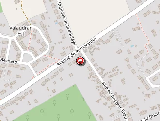 Carte de Taffoureau Christophe à Salbris