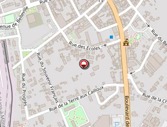 Carte de Carrefour Market à Salbris