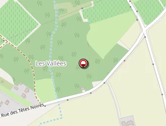 Carte de Zaia Joël à Chargé