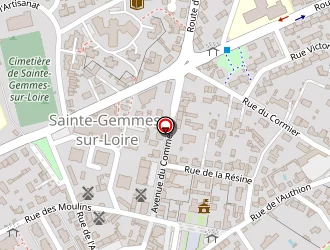 Carte de Blin Antoine à Sainte-gemmes-sur-loire