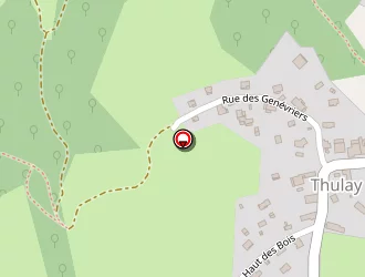 Carte de Repellin Jean à Thulay