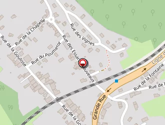 Carte de Plateau D'évolution Sportif à Rang