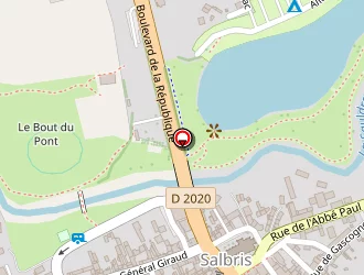 Carte de Romo-carpi à Salbris