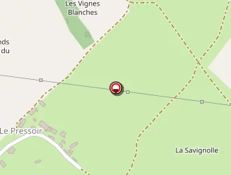 Carte de P.s.c Pasquet à Savigny-en-sancerre