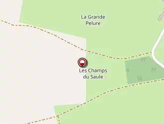 Carte de Defours Bernard à Savigny-en-sancerre