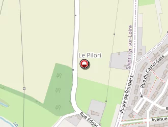 Carte de City Dog Services à Tours