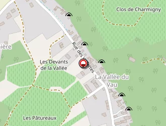 Carte de Grenier Michel à Chançay