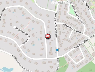 Carte de Desilles Gaël à Membrolle-sur-choisille (la)