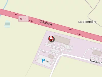 Carte de Dupas Tp à Champtocé-sur-loire