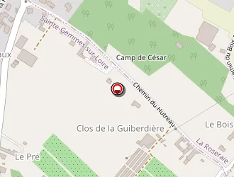 Carte de Smart Mobilité à Sainte-gemmes-sur-loire