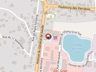 Carte de Ford Auto 2000 à Gray