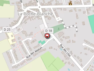 Carte de Tendron Michel à Roche-blanche (la)