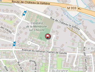 Carte de Le Grand Nicolas à Membrolle-sur-choisille (la)