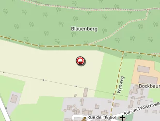 Carte de Plateau Omnisports à Kiffis