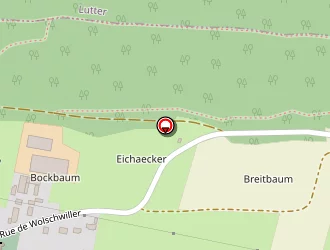 Carte de Baldeck Guillaume à Kiffis