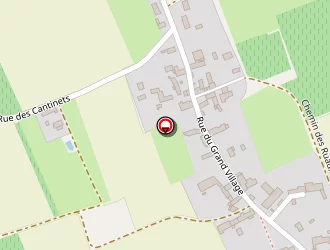 Carte de Ambiance Végétale à Mosnes