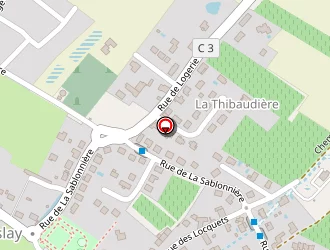 Carte de Schwarz Pascal à Parçay-meslay