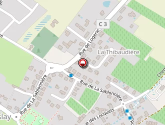 Carte de Boissel Jérôme à Parçay-meslay