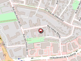 Carte de Biotteau Luc à Angers