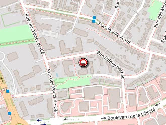 Carte de Carre Vip à Angers